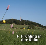Fr�hling in der Rh�n
